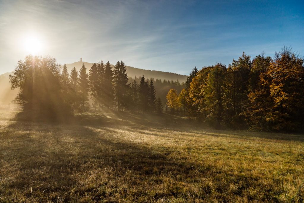 Hochwaldblick